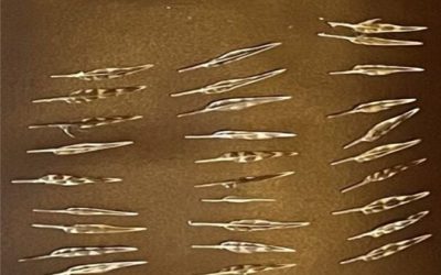 Appendix 7. Woodcock Pin – Feathers